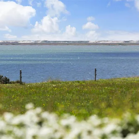 Lf593-vestervig-ingeborgs-alle-21